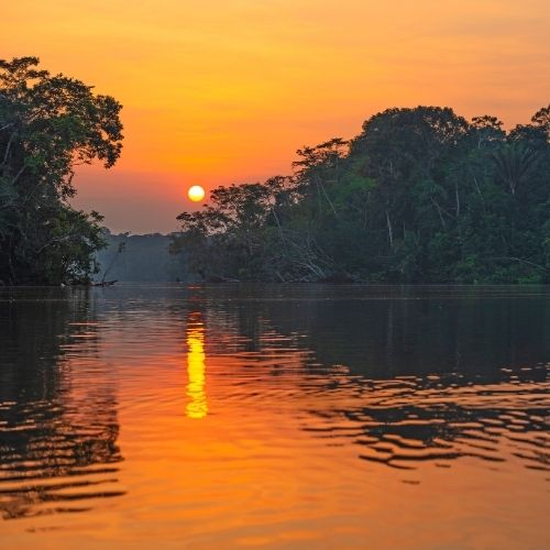 Amazon Rainforest Sunset Reflection