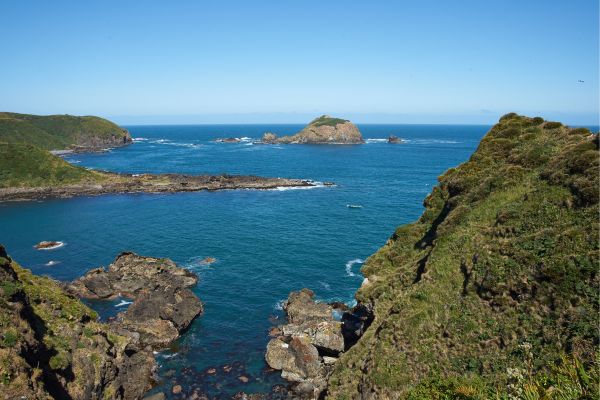 Chiloé coastline