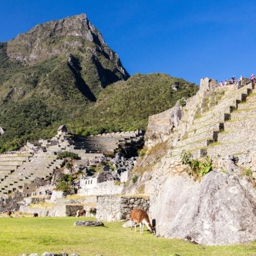 Machu Pichu - Peru