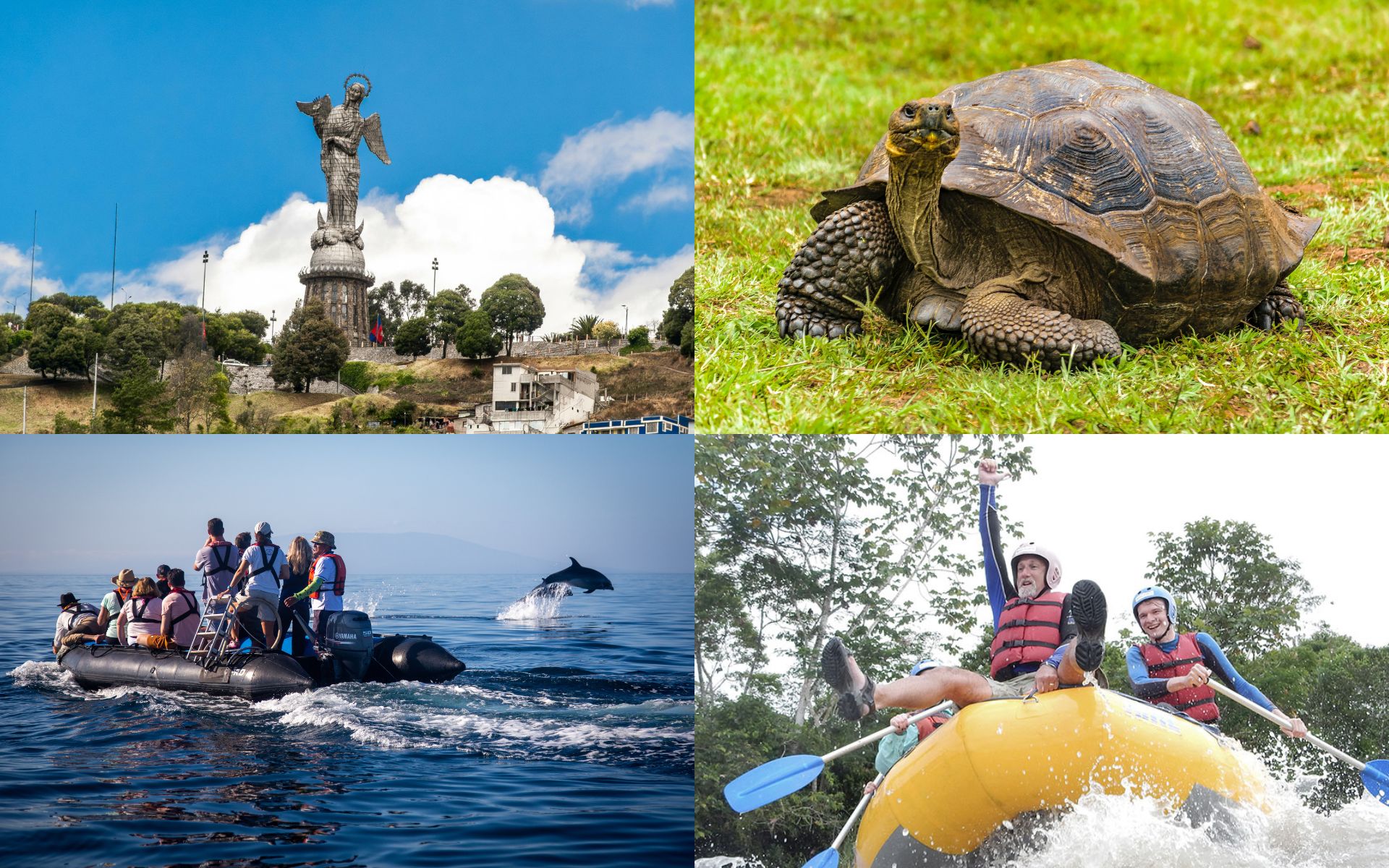 Group Travel Essentials Ecuador & the Galapagos