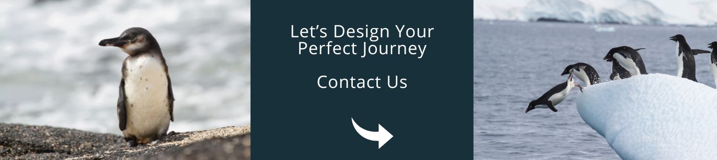 Let’s Design Your Perfect Journey