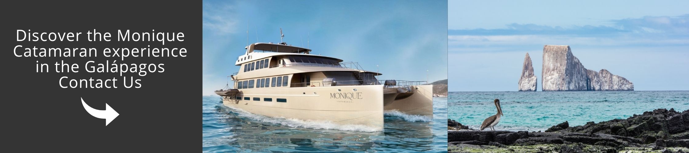Contact us to plan your Galápagos journey aboard the Monique Catamaran and discover its unique wildlife and sustainable experiences.