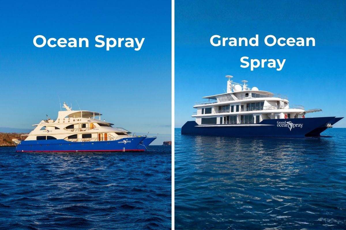 Ocean-Spray-Grand-Ocean-Spray-2027